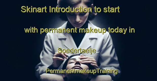 Skinart Introduction to start with permanent makeup today in Soedertaelje | #PermanentmakeupTraining #PermanentmakeupClasses #SkinartTraining-Sweden