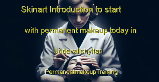 Skinart Introduction to start with permanent makeup today in Uddevallshyltan | PermanentmakeupTraining | PermanentmakeupClasses | SkinartTraining-Sweden