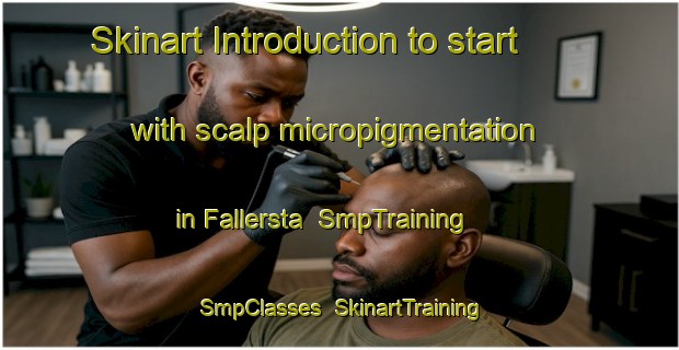 Skinart Introduction to start with scalp micropigmentation in Fallersta | SmpTraining | SmpClasses | SkinartTraining-Sweden