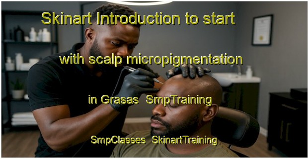 Skinart Introduction to start with scalp micropigmentation in Grasas | SmpTraining | SmpClasses | SkinartTraining-Sweden