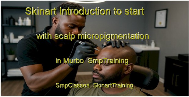 Skinart Introduction to start with scalp micropigmentation in Murbo | SmpTraining | SmpClasses | SkinartTraining-Sweden