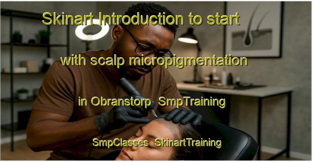 Skinart Introduction to start with scalp micropigmentation in Obranstorp | SmpTraining | SmpClasses | SkinartTraining-Sweden