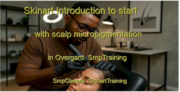 Skinart Introduction to start with scalp micropigmentation in Overgard | SmpTraining | SmpClasses | SkinartTraining-Sweden