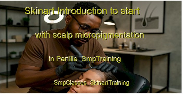 Skinart Introduction to start with scalp micropigmentation in Partille | SmpTraining | SmpClasses | SkinartTraining-Sweden