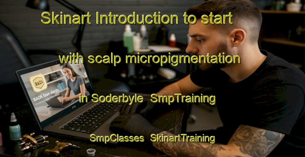 Skinart Introduction to start with scalp micropigmentation in Soderbyle | SmpTraining | SmpClasses | SkinartTraining-Sweden