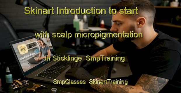 Skinart Introduction to start with scalp micropigmentation in Sticklinge | SmpTraining | SmpClasses | SkinartTraining-Sweden