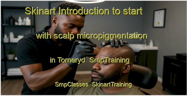 Skinart Introduction to start with scalp micropigmentation in Torneryd | SmpTraining | SmpClasses | SkinartTraining-Sweden