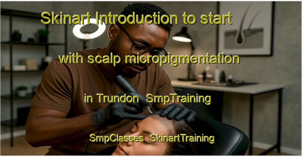 Skinart Introduction to start with scalp micropigmentation in Trundon | SmpTraining | SmpClasses | SkinartTraining-Sweden
