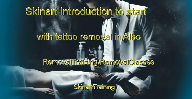 Skinart Introduction to start with tattoo removal in Albo | #RemovalTraining #RemovalClasses #SkinartTraining-Sweden