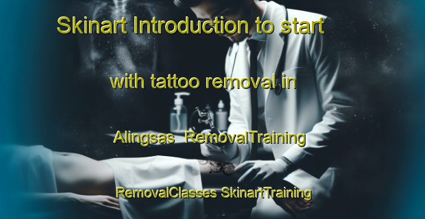 Skinart Introduction to start with tattoo removal in Alingsas | #RemovalTraining #RemovalClasses #SkinartTraining-Sweden