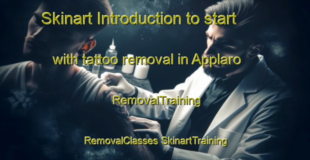 Skinart Introduction to start with tattoo removal in Applaro | #RemovalTraining #RemovalClasses #SkinartTraining-Sweden