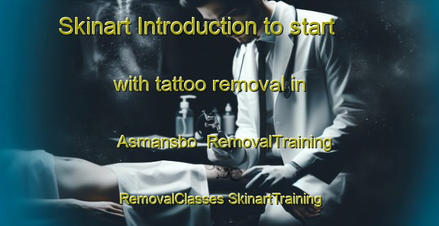 Skinart Introduction to start with tattoo removal in Asmansbo | #RemovalTraining #RemovalClasses #SkinartTraining-Sweden