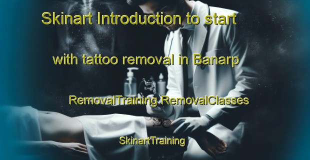 Skinart Introduction to start with tattoo removal in Banarp | #RemovalTraining #RemovalClasses #SkinartTraining-Sweden