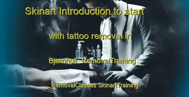 Skinart Introduction to start with tattoo removal in Bjarnhult | #RemovalTraining #RemovalClasses #SkinartTraining-Sweden