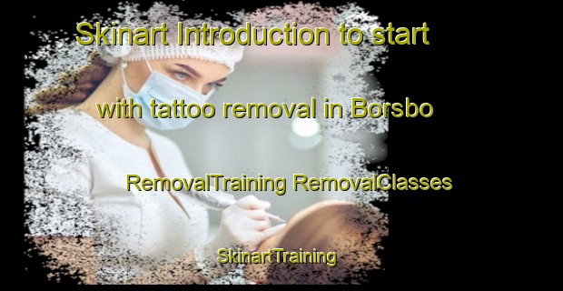 Skinart Introduction to start with tattoo removal in Borsbo | #RemovalTraining #RemovalClasses #SkinartTraining-Sweden