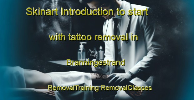 Skinart Introduction to start with tattoo removal in Branningestrand | #RemovalTraining #RemovalClasses #SkinartTraining-Sweden