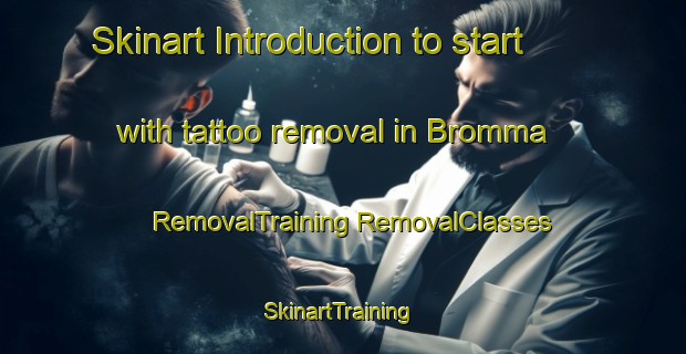 Skinart Introduction to start with tattoo removal in Bromma | #RemovalTraining #RemovalClasses #SkinartTraining-Sweden