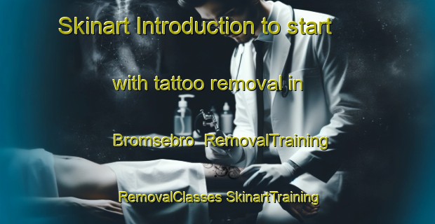 Skinart Introduction to start with tattoo removal in Bromsebro | #RemovalTraining #RemovalClasses #SkinartTraining-Sweden