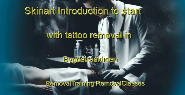 Skinart Introduction to start with tattoo removal in Bygdetraskliden | #RemovalTraining #RemovalClasses #SkinartTraining-Sweden