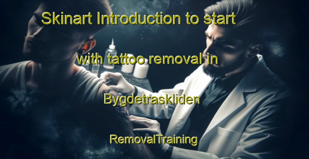 Skinart Introduction to start with tattoo removal in Bygdetraskliden | RemovalTraining | RemovalClasses | SkinartTraining-Sweden