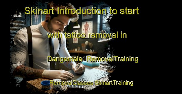 Skinart Introduction to start with tattoo removal in Dangemala | #RemovalTraining #RemovalClasses #SkinartTraining-Sweden