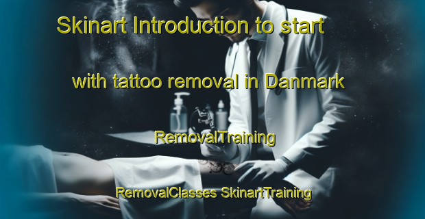 Skinart Introduction to start with tattoo removal in Danmark | #RemovalTraining #RemovalClasses #SkinartTraining-Sweden