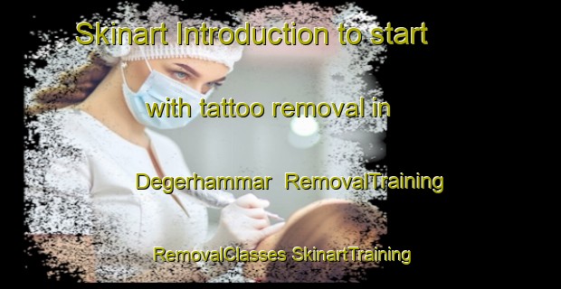 Skinart Introduction to start with tattoo removal in Degerhammar | #RemovalTraining #RemovalClasses #SkinartTraining-Sweden