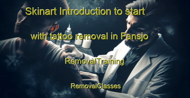 Skinart Introduction to start with tattoo removal in Fansjo | RemovalTraining | RemovalClasses | SkinartTraining-Sweden