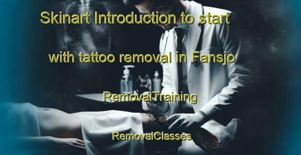 Skinart Introduction to start with tattoo removal in Fansjo | RemovalTraining | RemovalClasses | SkinartTraining-Sweden