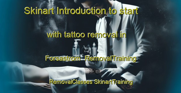 Skinart Introduction to start with tattoo removal in Forsastrom | #RemovalTraining #RemovalClasses #SkinartTraining-Sweden