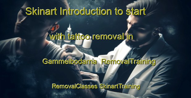 Skinart Introduction to start with tattoo removal in Gammelbodarna | #RemovalTraining #RemovalClasses #SkinartTraining-Sweden