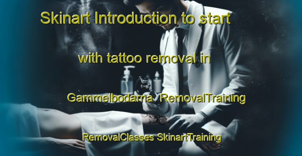 Skinart Introduction to start with tattoo removal in Gammelbodarna | #RemovalTraining #RemovalClasses #SkinartTraining-Sweden