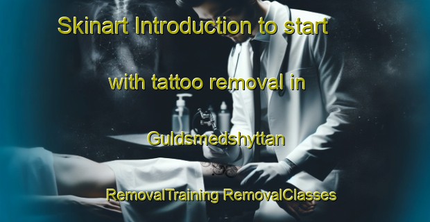 Skinart Introduction to start with tattoo removal in Guldsmedshyttan | #RemovalTraining #RemovalClasses #SkinartTraining-Sweden