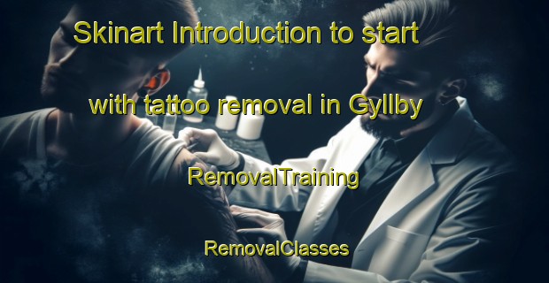 Skinart Introduction to start with tattoo removal in Gyllby | RemovalTraining | RemovalClasses | SkinartTraining-Sweden