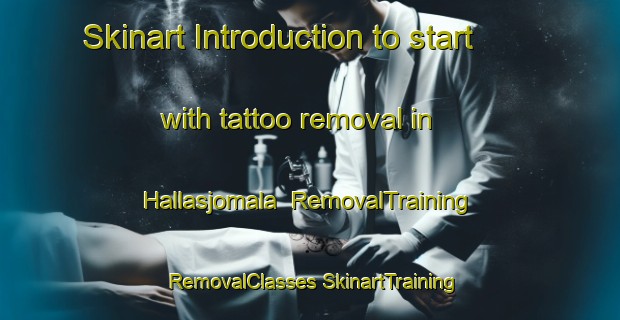 Skinart Introduction to start with tattoo removal in Hallasjomala | #RemovalTraining #RemovalClasses #SkinartTraining-Sweden