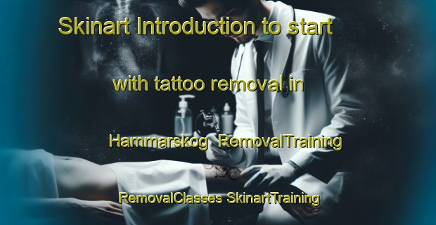 Skinart Introduction to start with tattoo removal in Hammarskog | #RemovalTraining #RemovalClasses #SkinartTraining-Sweden