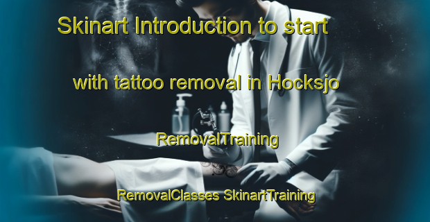 Skinart Introduction to start with tattoo removal in Hocksjo | #RemovalTraining #RemovalClasses #SkinartTraining-Sweden