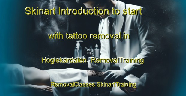 Skinart Introduction to start with tattoo removal in Hoglekardalen | #RemovalTraining #RemovalClasses #SkinartTraining-Sweden