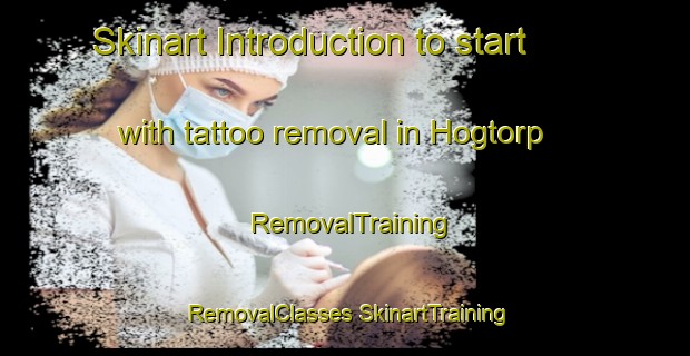 Skinart Introduction to start with tattoo removal in Hogtorp | #RemovalTraining #RemovalClasses #SkinartTraining-Sweden