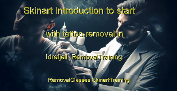 Skinart Introduction to start with tattoo removal in Idrefjall | #RemovalTraining #RemovalClasses #SkinartTraining-Sweden