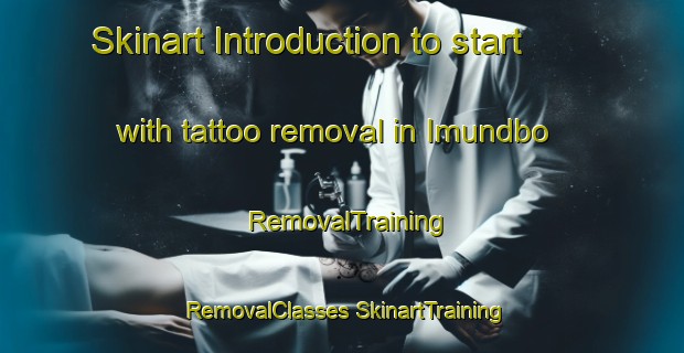 Skinart Introduction to start with tattoo removal in Imundbo | #RemovalTraining #RemovalClasses #SkinartTraining-Sweden