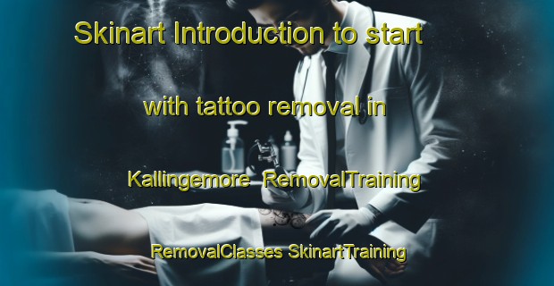 Skinart Introduction to start with tattoo removal in Kallingemore | #RemovalTraining #RemovalClasses #SkinartTraining-Sweden