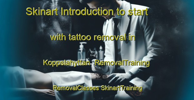 Skinart Introduction to start with tattoo removal in Koppslahyttan | #RemovalTraining #RemovalClasses #SkinartTraining-Sweden