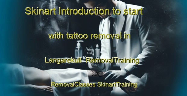 Skinart Introduction to start with tattoo removal in Langarekull | #RemovalTraining #RemovalClasses #SkinartTraining-Sweden