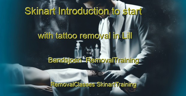 Skinart Introduction to start with tattoo removal in Lill Bandsjoen | #RemovalTraining #RemovalClasses #SkinartTraining-Sweden