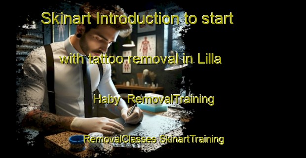 Skinart Introduction to start with tattoo removal in Lilla Haby | #RemovalTraining #RemovalClasses #SkinartTraining-Sweden