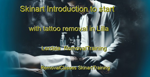 Skinart Introduction to start with tattoo removal in Lilla Lerdala | #RemovalTraining #RemovalClasses #SkinartTraining-Sweden