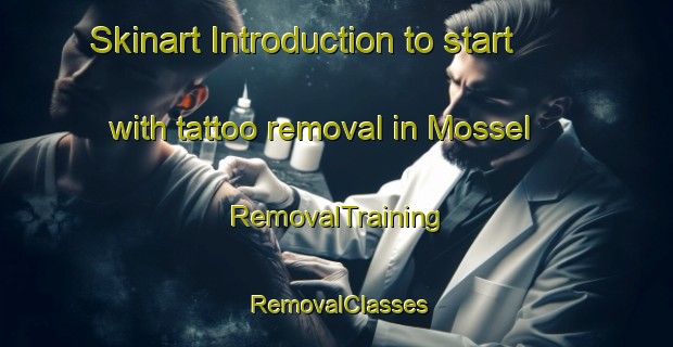 Skinart Introduction to start with tattoo removal in Mossel | RemovalTraining | RemovalClasses | SkinartTraining-Sweden