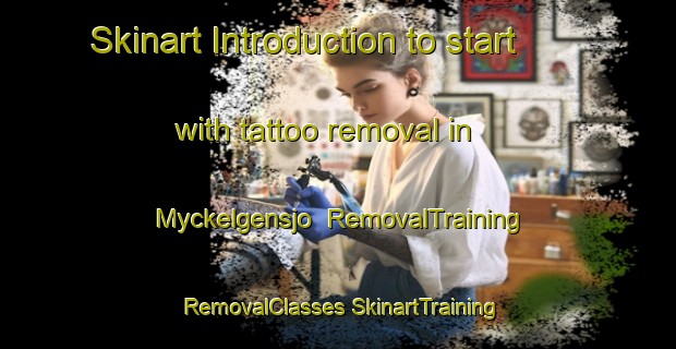 Skinart Introduction to start with tattoo removal in Myckelgensjo | #RemovalTraining #RemovalClasses #SkinartTraining-Sweden