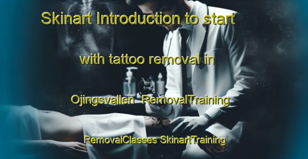 Skinart Introduction to start with tattoo removal in Ojingsvallen | #RemovalTraining #RemovalClasses #SkinartTraining-Sweden